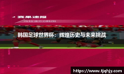 韩国足球世界杯：辉煌历史与未来挑战